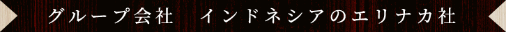 グループ会社　インドネシアのエリナカ社